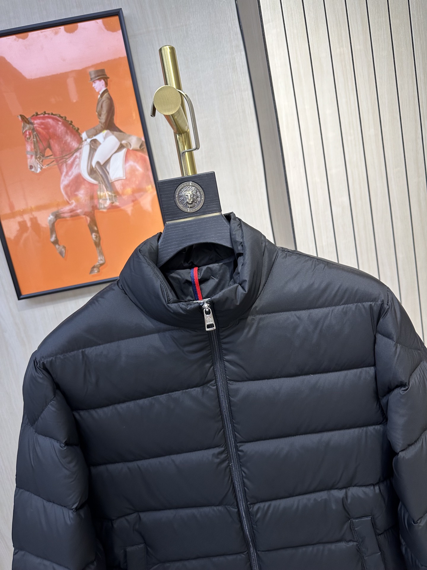 Moncler Down Jackets